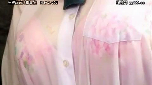 Boner Bliss In Crowded Bus With Busty Schoolgirl Poked Pleasure