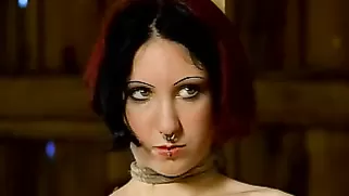 Cutie With Pierced Nose And Tattoos Enjoys Painful Anal Games