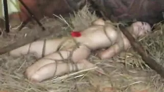 Bounded Brunette With Big Boobs Gets Chained And Bounded In The Hayloft