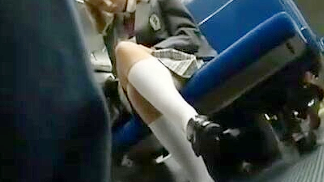 Grope And Fuck In Public Bus   American Student Wild Japan Adventure