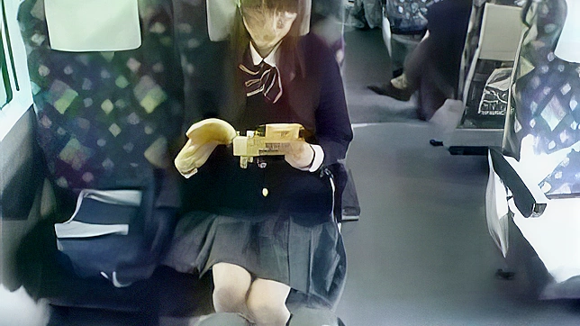 Asian Studentgirl In Train