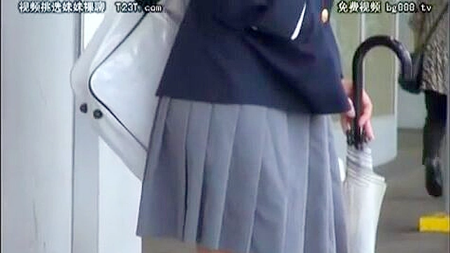 Asians Schoolgirl Public Humiliation On The Bus