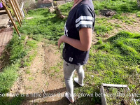 POV French Babe Happily Fucks Her Neighbour In The House’s Backyard
