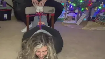 K Tickled Under The Tree