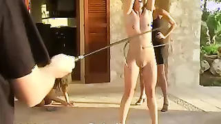 Beautiful Babe With Small Tits Is Getting Humiliated By Her Domina