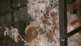 Angelic Miracle In Feathers Gets Dominated In The Funniest Way