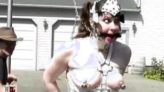 This Trained Slave Bitch Looks Almost Like A Horse On Her High Heels