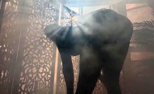 Rayne Carter, Dredd   Anal Romp