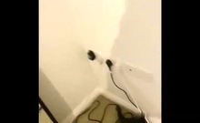 Milf Blonde Fucked Hardcore