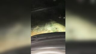 Me Deja El Bus En El Pueblo Y Turista Me Invita A Acampar, La Pasamos Muy Rico