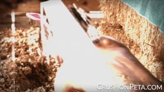 Verify Your Age”>Peta Jensen’s Big Tits Are Bouncing Strongly While Getting Fucked<a Class="video Item Thumbnail Js Show Loader " Href="/videos/236105/peta Jensen S Big Tits Are Bouncing Strongly While Getting Fucked.html" Data Tag Pos="" Alt="Peta Jensen's Big Tits Are Bouncing Strongly While Getting Fucked