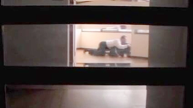 Brutal Client Fucks Real Estate Agent In Nippon Porn Video