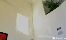 Amateur Teen Pov Blowjob Homemade