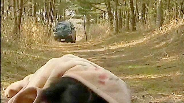Stalked While Jogging In The Woods   A Asian Porn Video