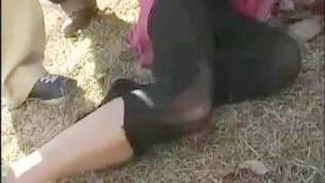 Torn Apart   A Japanese Girl Compilled Descent Into Darkness
