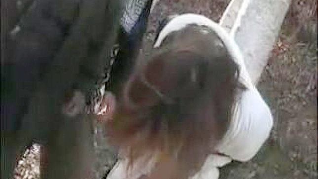Torn Apart   A Japanese Girl Compilled Descent Into Darkness