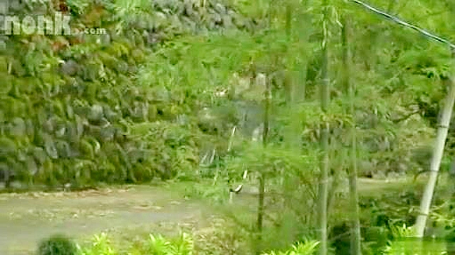 Nippon Intruder Brutal Sex Attack On Horrified Teen With Knife